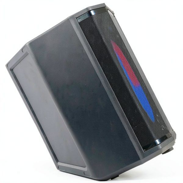 Dolphin Audio SP-880RBT Bluetooth Party Speaker Tiltable-8