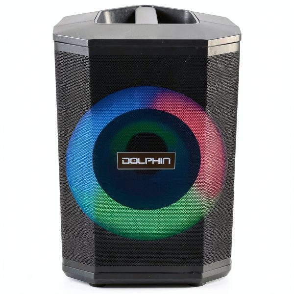 Dolphin Audio SP-880RBT Bluetooth Party Speaker Tiltable-2