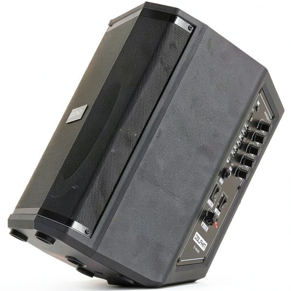 Dolphin Audio SP-880RBT Bluetooth Party Speaker Tiltable-7