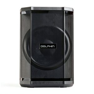 Dolphin Audio SP-880RBT Bluetooth Party Speaker Tiltable-0