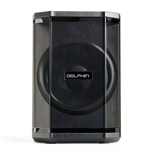 Dolphin Audio SP-880RBT Bluetooth Party Speaker Tiltable-0