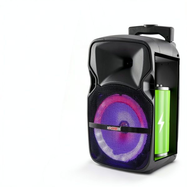 5Core 400W Bluetooth PA Speaker System Wireless Mics DJ-4