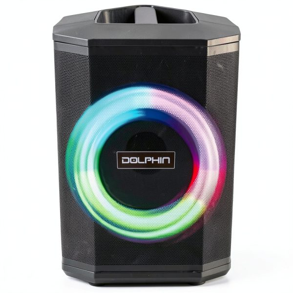 Dolphin Audio SP-880RBT Bluetooth Party Speaker Tiltable-6
