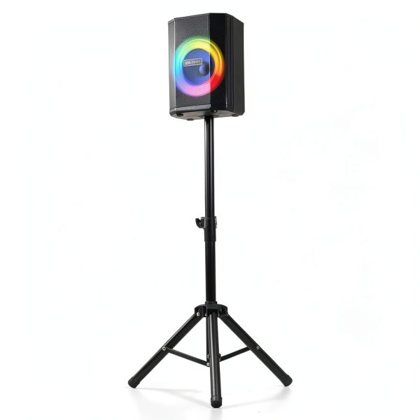Dolphin Audio SP-880RBT Bluetooth Party Speaker Tiltable-3