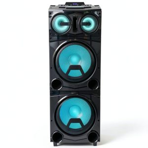 Supersonic IQ Sound Party Speaker Big LCD Display DJ-0